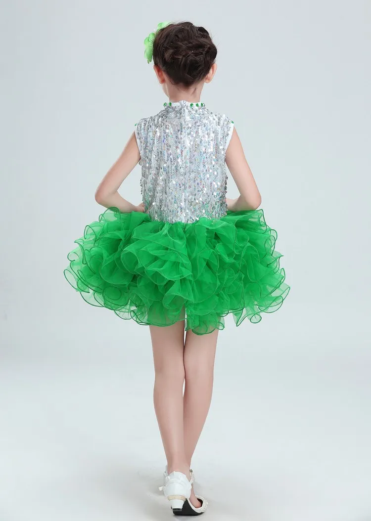 

Swan Girl Music Dress Girls Ballroom Dress For Girl Kid Ballet Dancing Costume For Girls Performance Concert Dance Tutu Dress