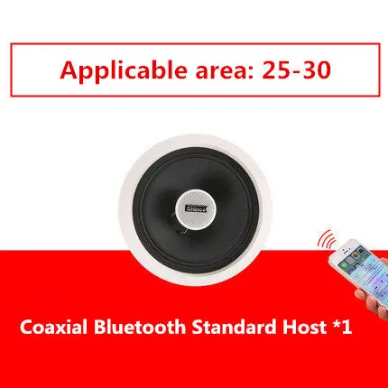 V3 standard host Shinco V2 Беспроводная Bluetooth потолочная акустическая система потолочная фоновая музыка Радио Колонки - Цвет: V3 standard host