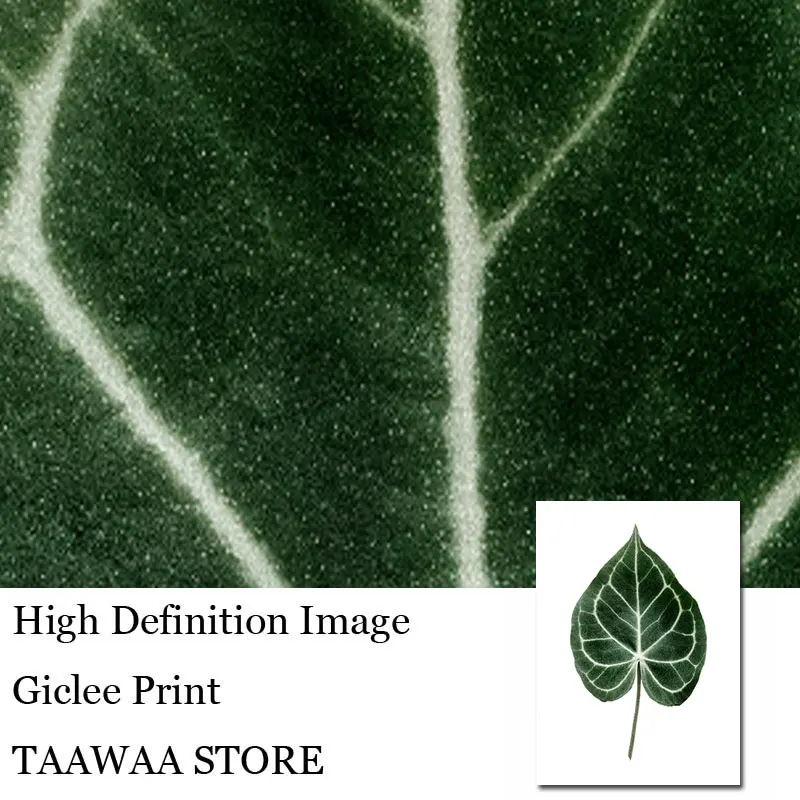 

TAAWAA Green Plant Canvas Leaves Painting Leaves Posters and Prints Wall Art Nordic Style Decorative Picture Living Room Decor