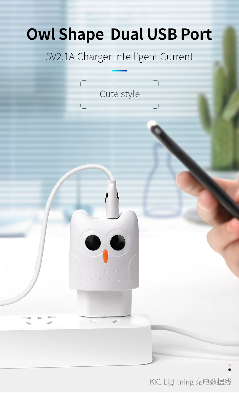 HOCO USB кабель для iPhone, зарядный кабель, двойное USB зарядное устройство для iPhone 5S 6 7 8 XS XR 2.4A зарядное устройство