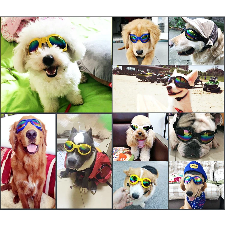 Модные изысканные солнцезащитные очки для питомцев и ветрозащитные зеркальные