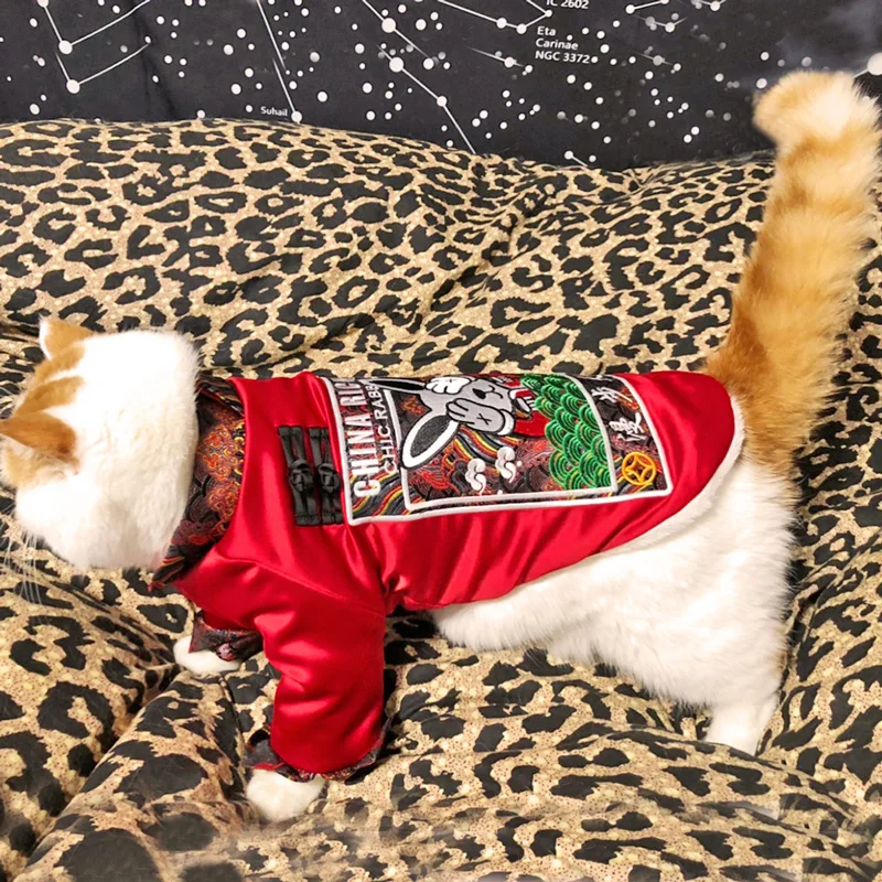 HOOPET одежда для маленьких собак куртки кошек с двумя ногами Осенний мягкий теплый