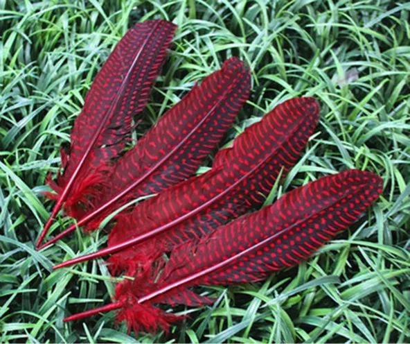 

wholesale 100pcs high quality natural red guinea fowl feather 15-20cm/6-8inches Decorative diy chicken feathers