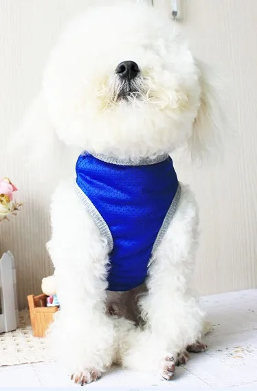 SUPREDOG жилет для собак, сетчатый жилет, модный спортивный жилет для улицы, летний крутой плюшевый жилет для футбола, футбола, джерси, одежда для маленьких собак