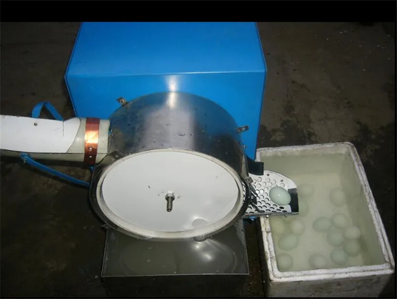 Стиральная машина для яиц стиральная яиц|Кухонные комбайны| |