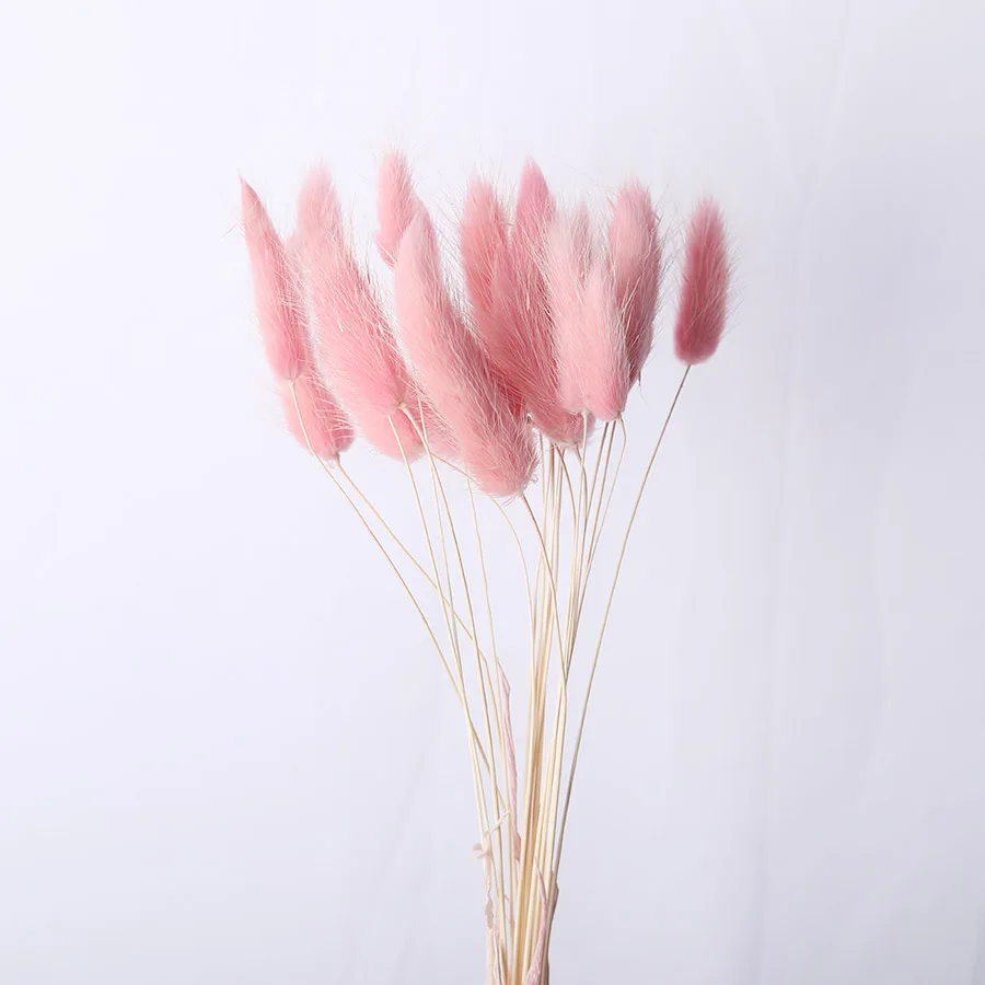pink 20 шт./партия, Натуральные сушеные цветы, искусственные окрашенные настоящие цветы, букет оватус для дома, Свадебные Декоративные искусственные цветы - Цвет: pink