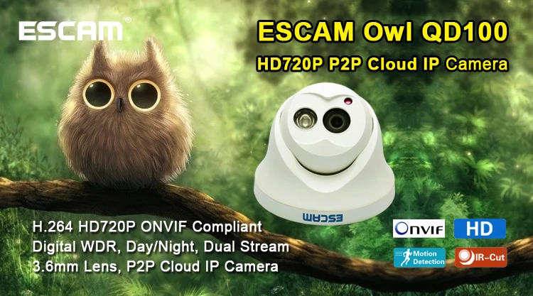 Escam Сова IP камера ночного видения Onvif 3,6 мм Лен HD 720P H.264 1/4 CMOS P2P мини камера ИК безопасности CCTV камера QD100