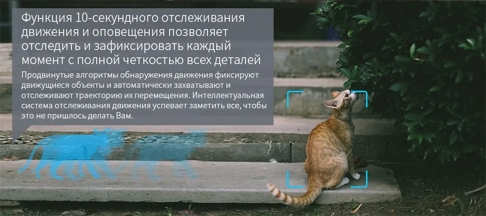 YI купол Камера 1080 P панорамирования/наклона/зум Беспроводной IP Видеоняни и радионяни видеонаблюдения Системы 360 градусах Ночное видение глобальный