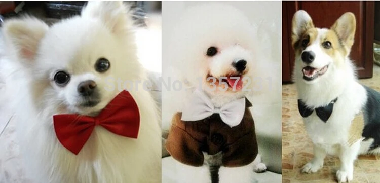 

2000pcs/lot Pet Dog Puppy Bow Tie Necktie Cute Bowknot Collars