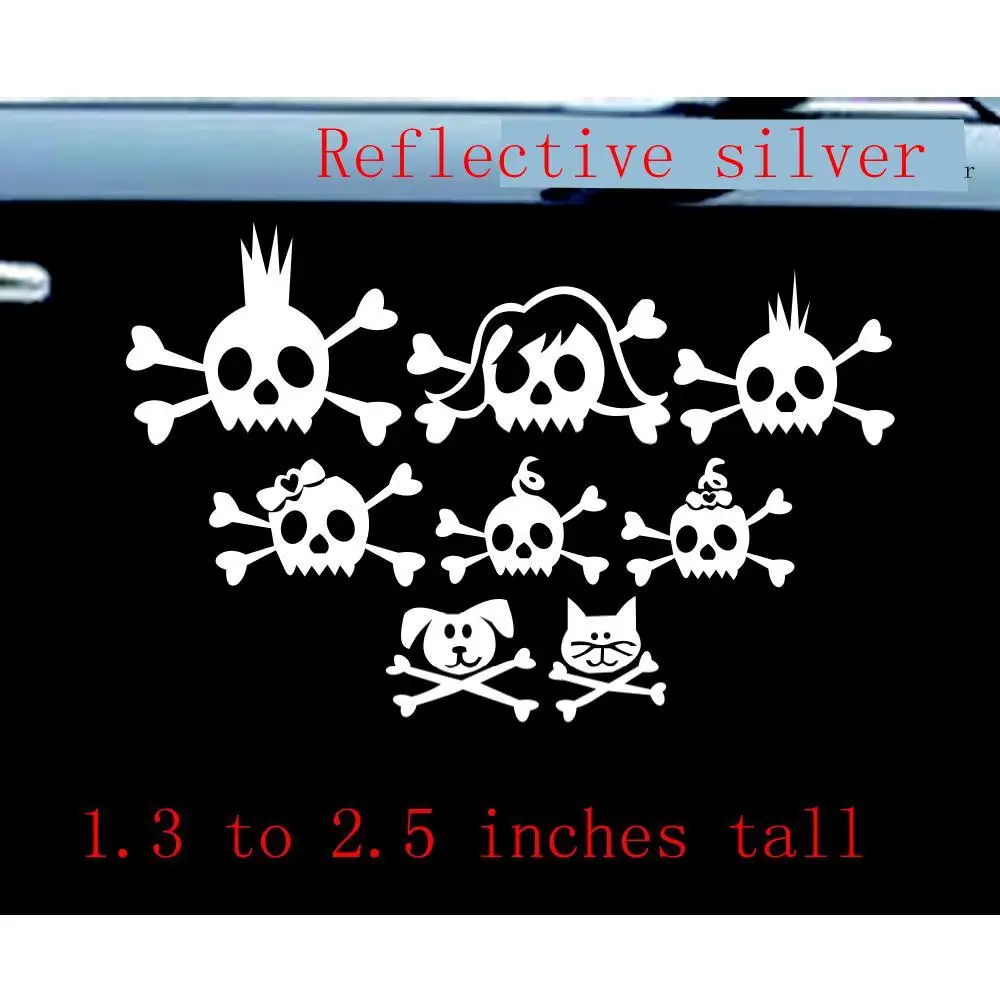 NetCat/семья черепов/водонепроницаемость/корпус автомобильного окна/не