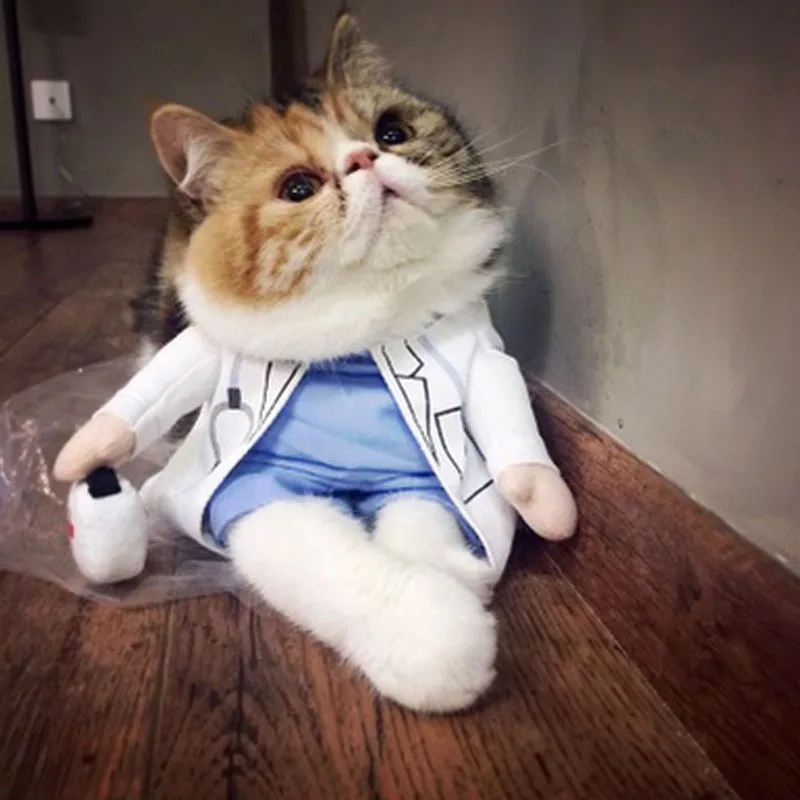 Забавный костюм на Хэллоуин для домашних животных, кошек, собак, докторов, косплей, весна, маленькие, средние, для собак, щенков, вечерние куртки, одежда для собак, одежда для питбуля