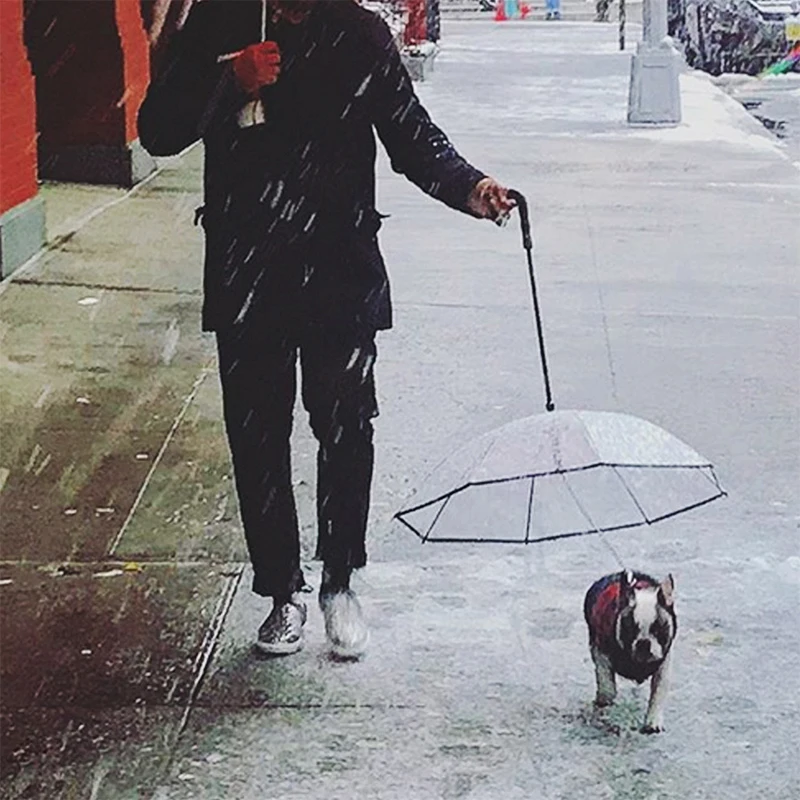

PE Stainless Steel Umbrella Raincoats Dog Pulling Rope Haulage Pet Dogs Cat Small Animal Outdoor Supplies Products Accessories