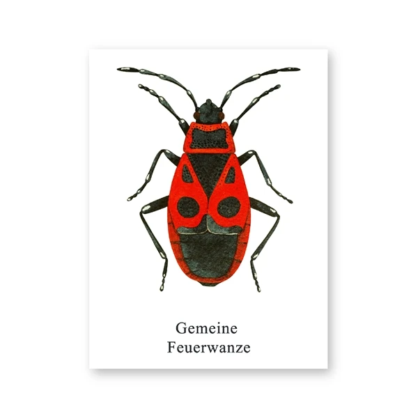 PH3583 Акварель Жук иллюстрация принты Coleoptera насекомые плакаты домашняя комната Настенный декор образовательный холст живопись картина - Цвет: PH3583