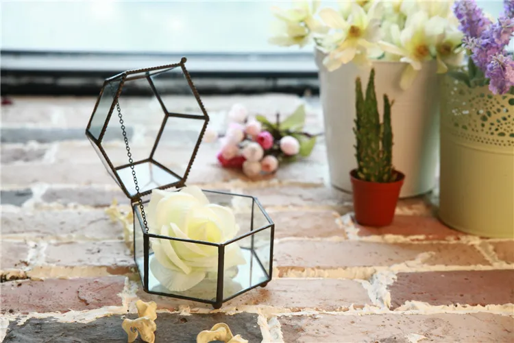 Подарочная коробка на День святого Валентина стеклянная теплица суккуленты мох