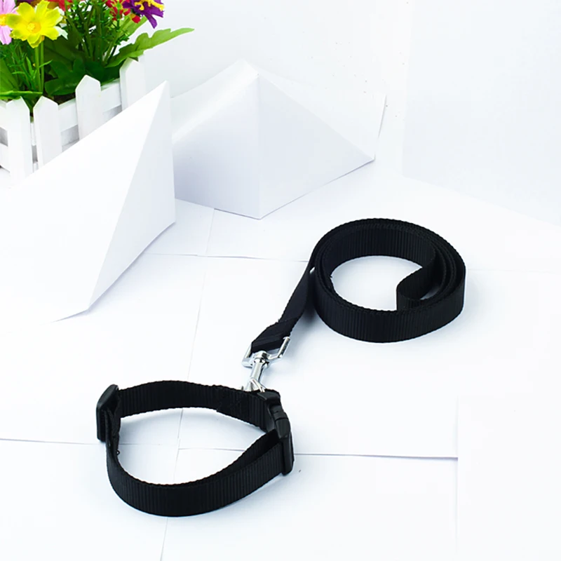 Регулируемый нейлоновый ошейник для собак и кошек|dog collar|cat collarcollar and leash |