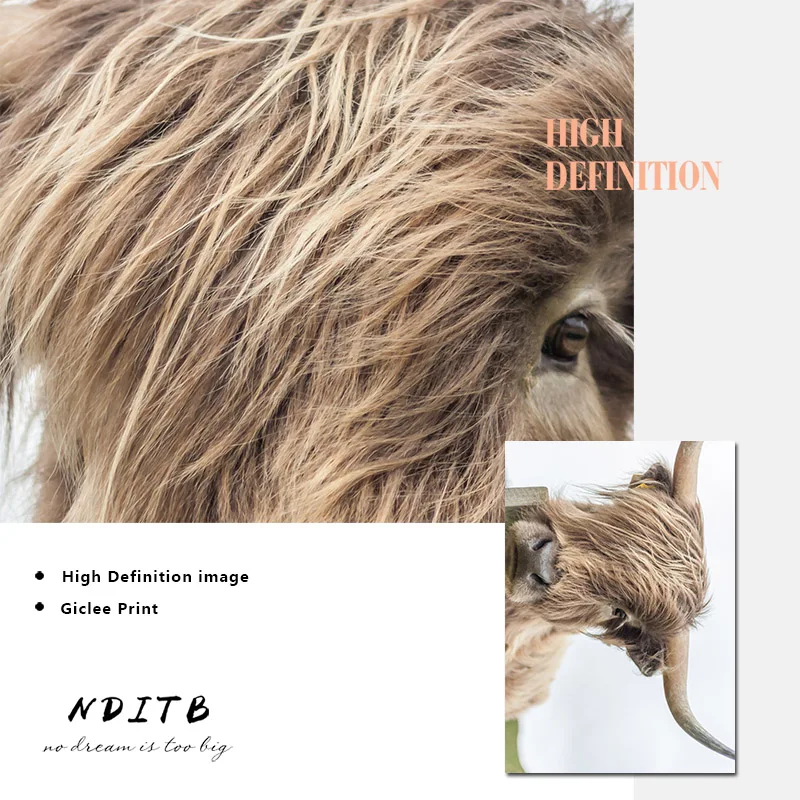 NDITB Highland корова настенная живопись холст постеры с животными и принтами