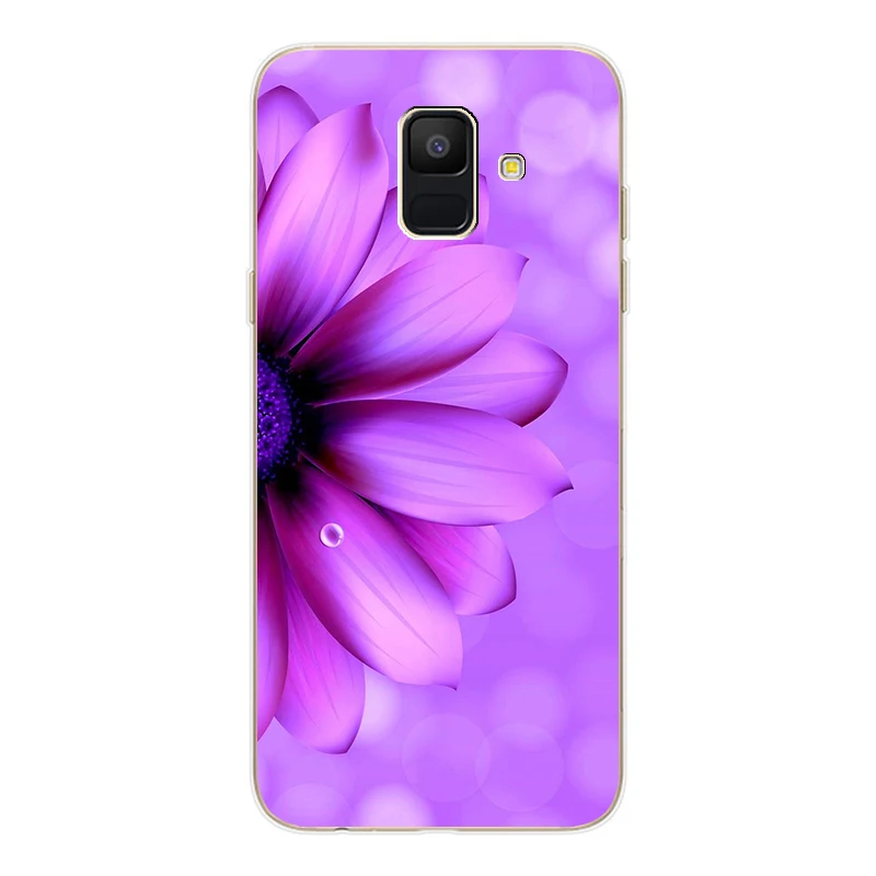 Case For Samsung Galaxy A6 Plus 2018 Cartoon Cover Soft Silicone Phone Back for A 6 600 610 Fundas Coque |