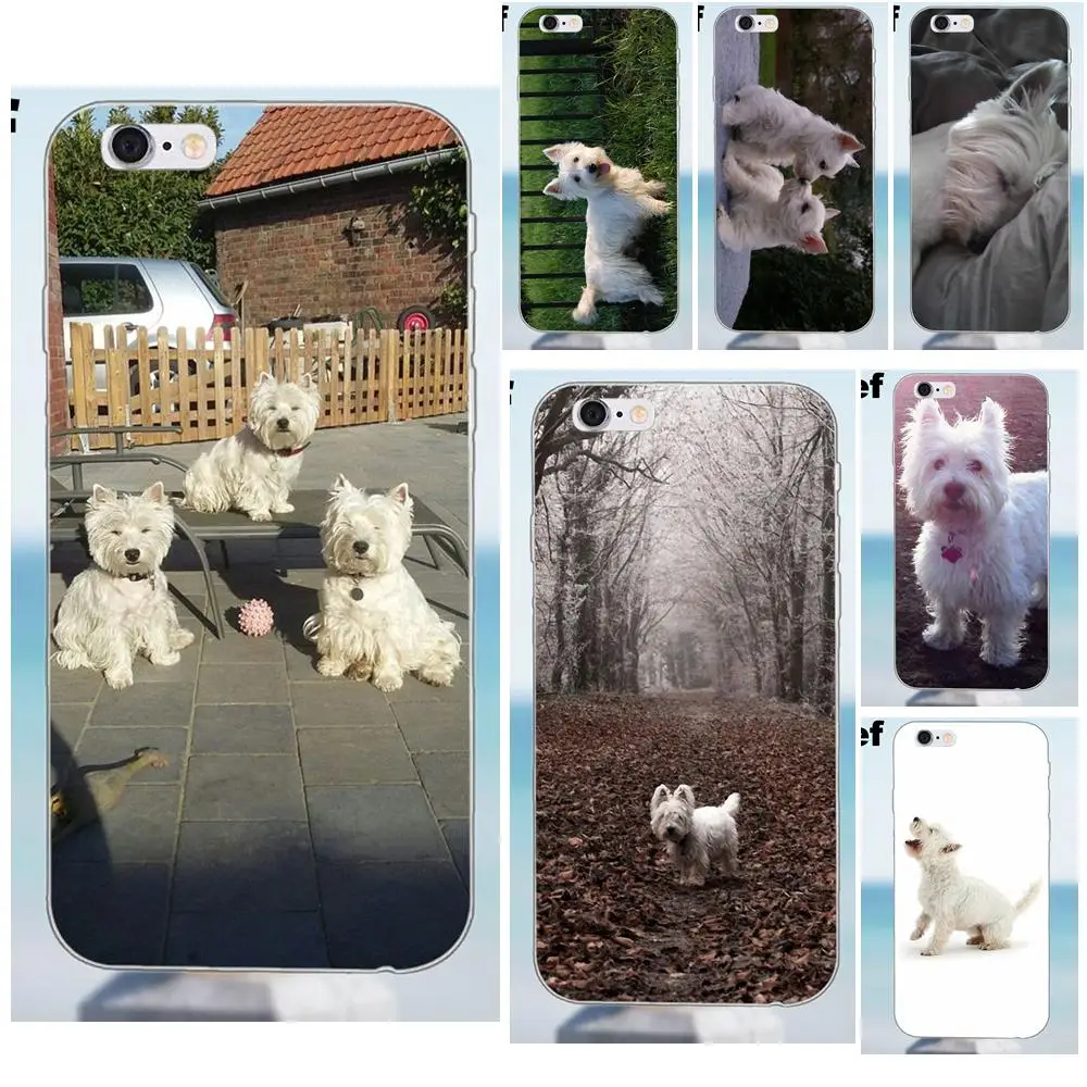 Suef ТПУ чехол накладка с принтом для iPhone X 4 4S 5 5S 5C SE 6 6S 7 8 Plus Galaxy J1 J3 J5 J7 A3 A5 2016 2017 Westie