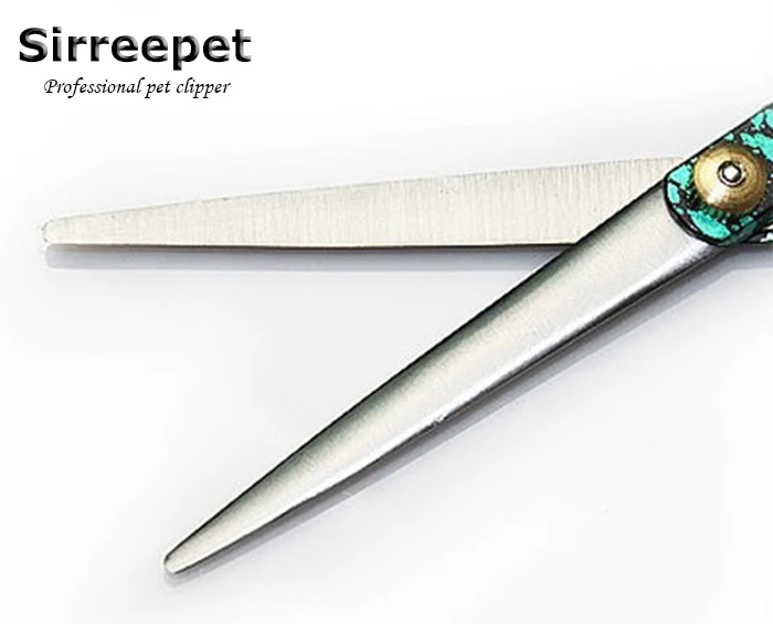 10 шт./лот Pet цветные ножницы из нержавеющей стали горячая распродажа|scissor