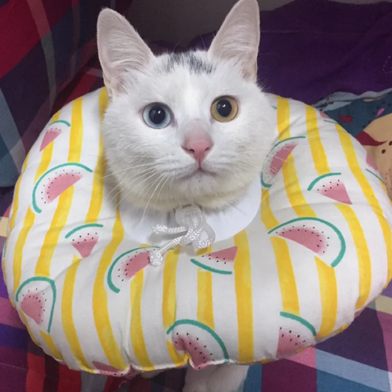 Мягкий круг-воротник для кошек, кошачий гриминг, товары для ухода за котом Kedi Malzemeleri Katten Gatos, товары для кошек
