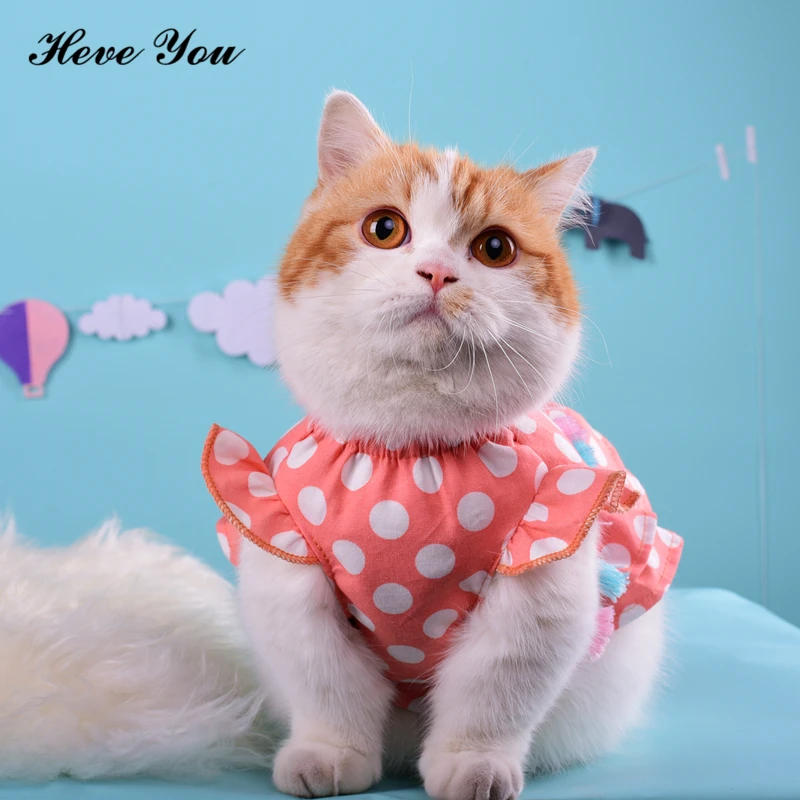 

Одежда для домашних животных Heve You, щенок, чихуахуа, милое платье для кошек, для маленьких кошек, модная одежда для собак, праздничная одежда ...