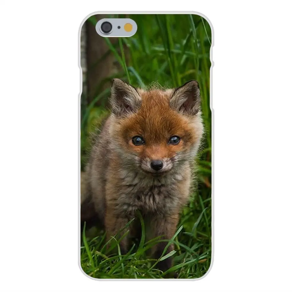 Мягкие защитные чехлы из ТПУ для Apple iPhone X XS Max XR 4 4S 5 5C 5S SE 6 6S 7 8 Plus Animal Fox | Мобильные