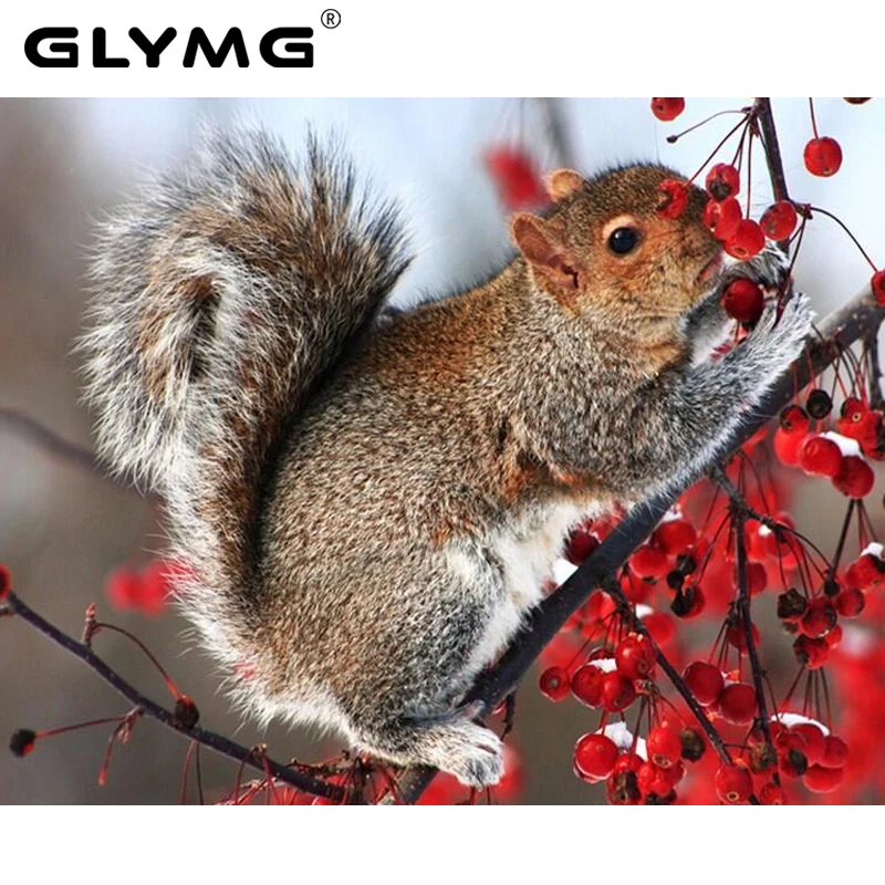 GLymg ремесла Diy белка Алмазная вышивка животные картина Картина Вышивка крестом