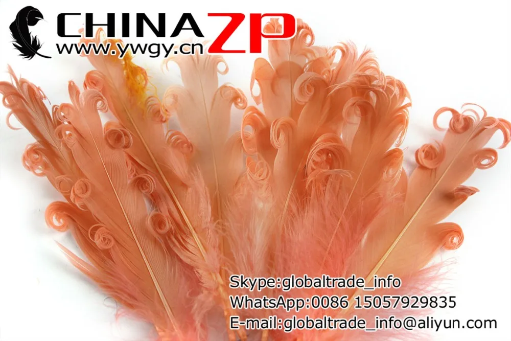 100 шт./цвет/партия перья для волос | Дом и сад