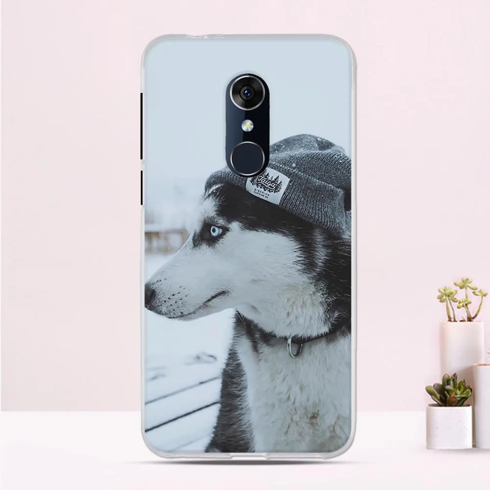 For Alcatel 3 5052D Case Silicone Shell Phone Protecive Back Cover Coque Print Pattern for 3L 5034D | Мобильные телефоны и