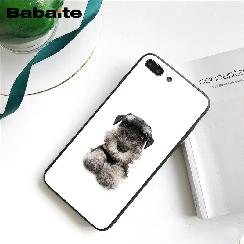 Babaite чехол для телефона с милыми собаками Шнауцер для iphone 11 Pro 11Pro Max 8 7 6 6S Plus X XS MAX 5 5S SE XR
