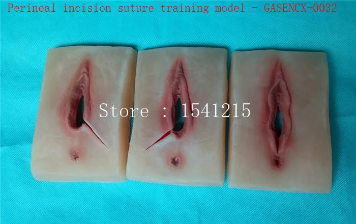 Обучающая модель акушерства и гинекологии женского перинеального инкиса