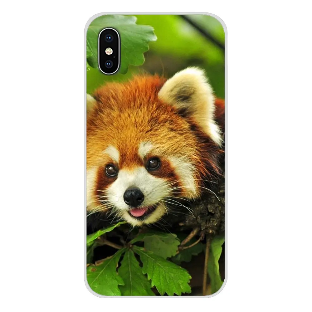 Red pandas Art Accessories Phone Cases Covers For Xiaomi Mi6 A1 5X 6X Redmi Note 5 5A 4X 4A 4 3 Plus Pro pocophone F1 | Мобильные