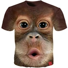 Мужская футболка Cloudstyle 2021, повседневные футболки с 3D рисунком животных, с коротким рукавом и смешным дизайном, мужская летняя футболка 5XL