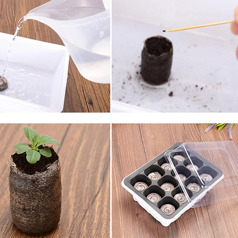 

6/15 pcs Peat Pellets Seed Starting Plugs Seeds Starter Pallet Nutrient Substance Medium Seedling Soil Block