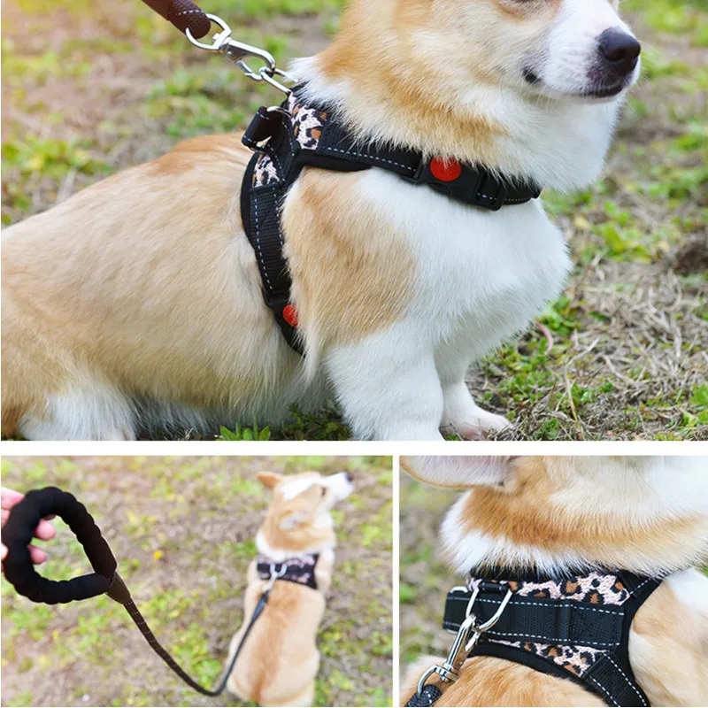 Набор из 6 Морских шарнирных крючков с пружиной для лодки Размер 2 # M6 304