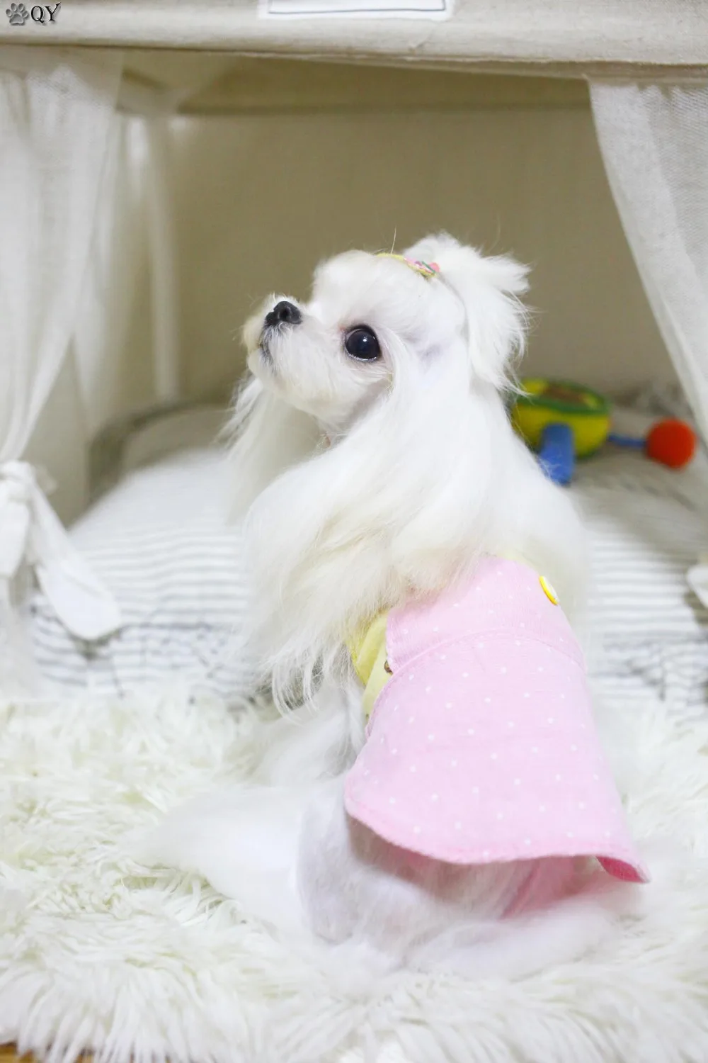 Хлопковое платье в горошек с воротником для питомца щенка кошки собаки одежда