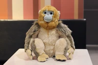 30cm lifelike sitting golden monkey stuffed animal toys real like soft snub nosed monkey plush toy gifts