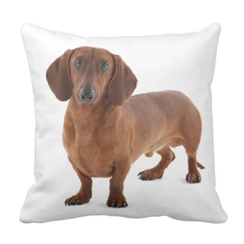 Набор подушек Dachshund | Дом и сад