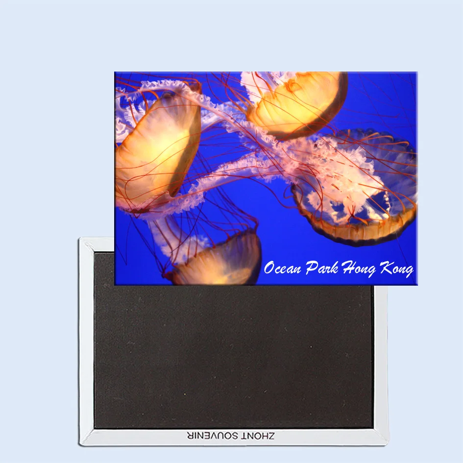 

Tourist Souvenirs,Fridge Magnetic,Exquisite Gift 24587, Ocean Park Hong Kong