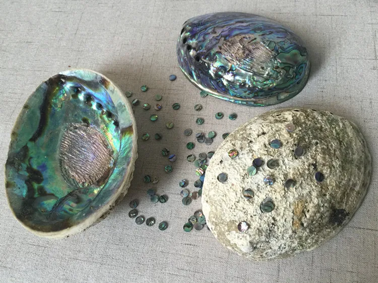 1 лот(50 шт.) диаметр 6 мм Новая Зеландия abalone shell лист для музыкальных инструментов аксессуары и материалы для украшения дома