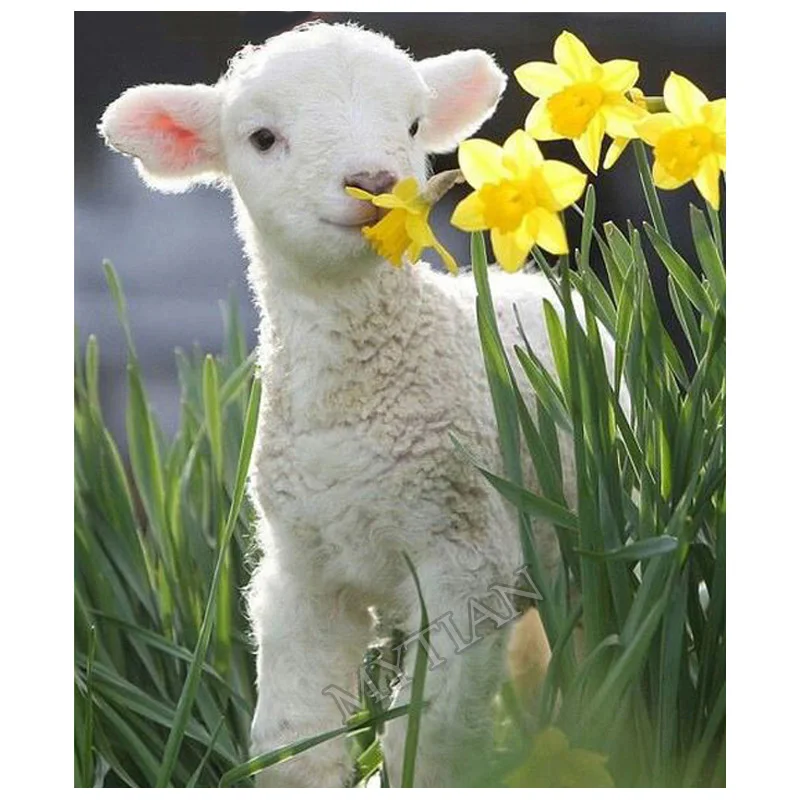 

Декор для комнаты Овцы DIY 5D алмазная Вышивка крестом квадратная/круглая мозаика 3D Алмазная вышивка узоры для вышивки стразами