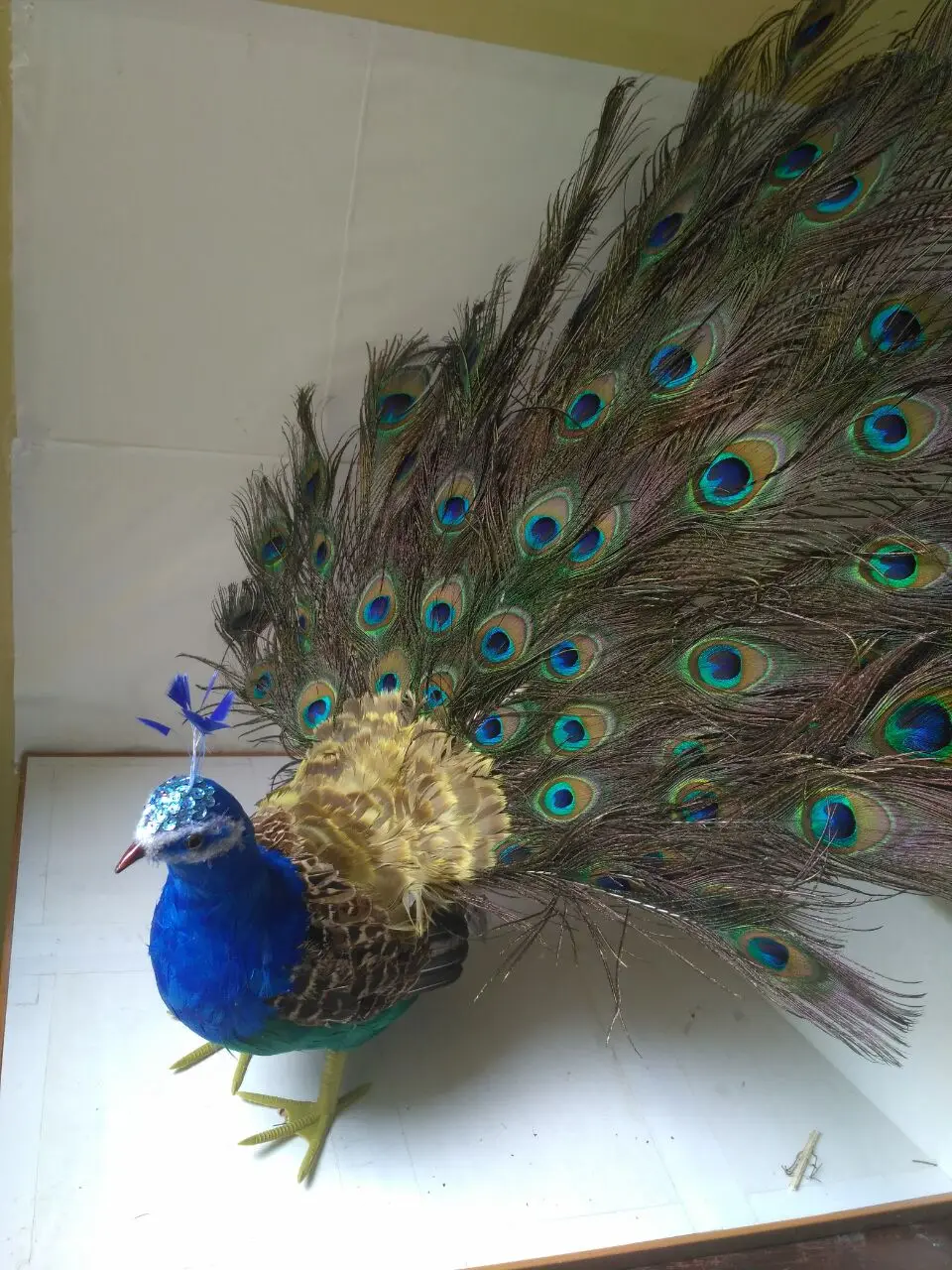 Большая модель павлина пена и перо красивая около 65x60 см 1268|peacock model|peacock peacockpeacock