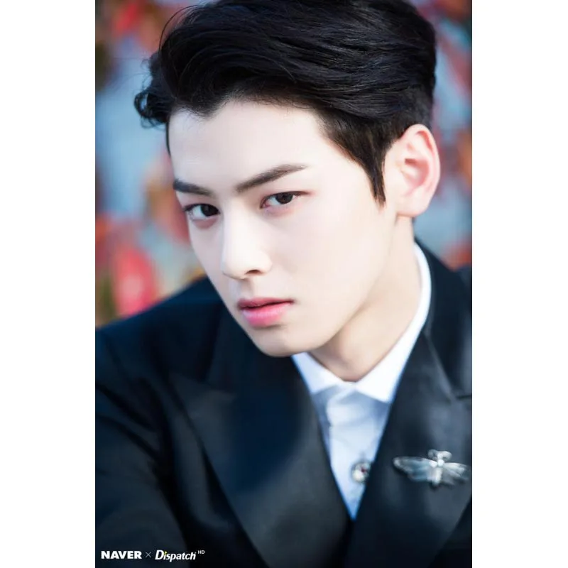 Горячая Cha EunWoo домашний Декор Ретро классический винтажный фильм плакат печать больше размеров на заказ Шелковый плакат и принты