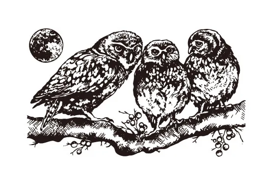 Прозрачные штампы с животными для скрапбукинга/изготовления