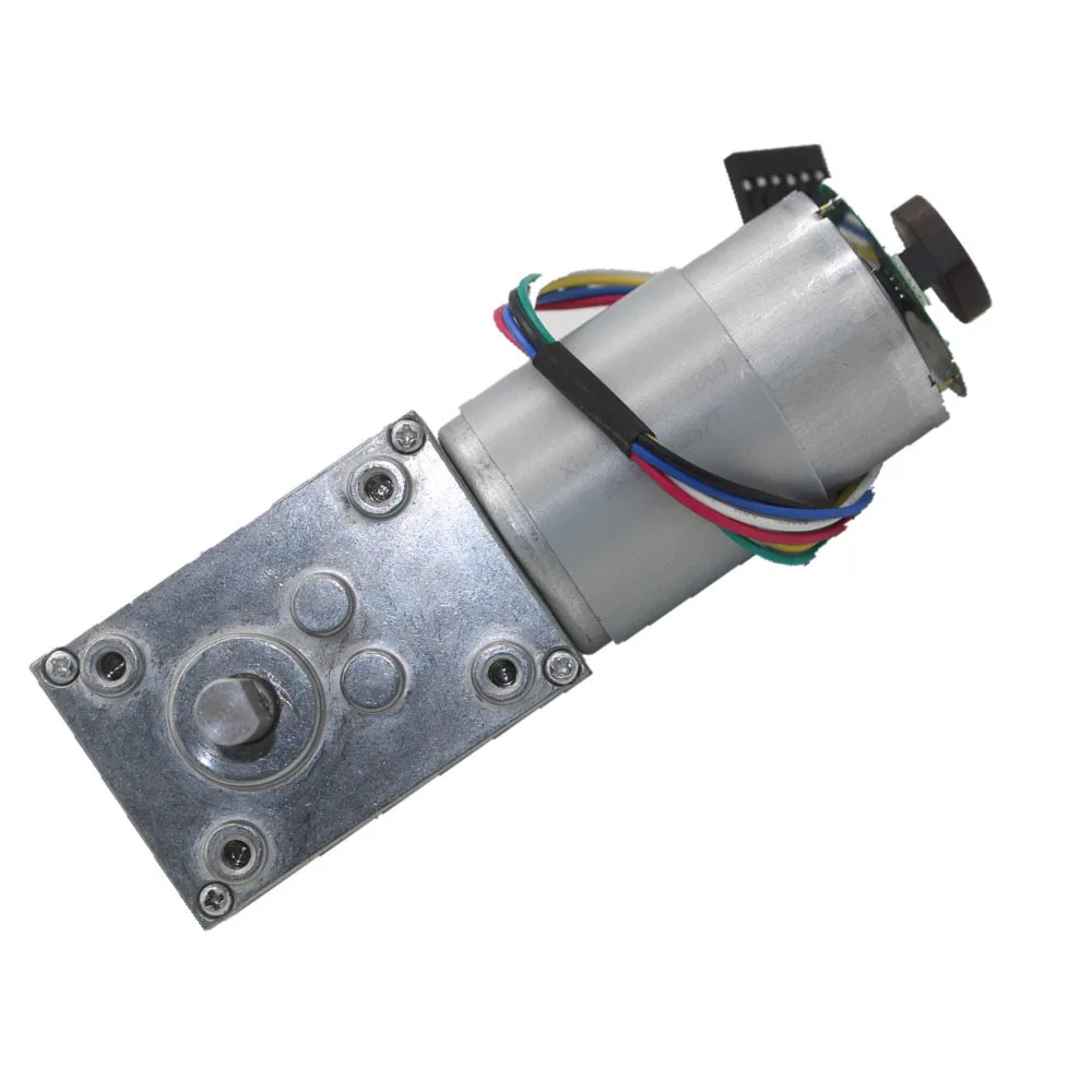 5840-555 Encoder Geared Motor Large Torque Belt Worm Gear 12V-24 | Обустройство дома