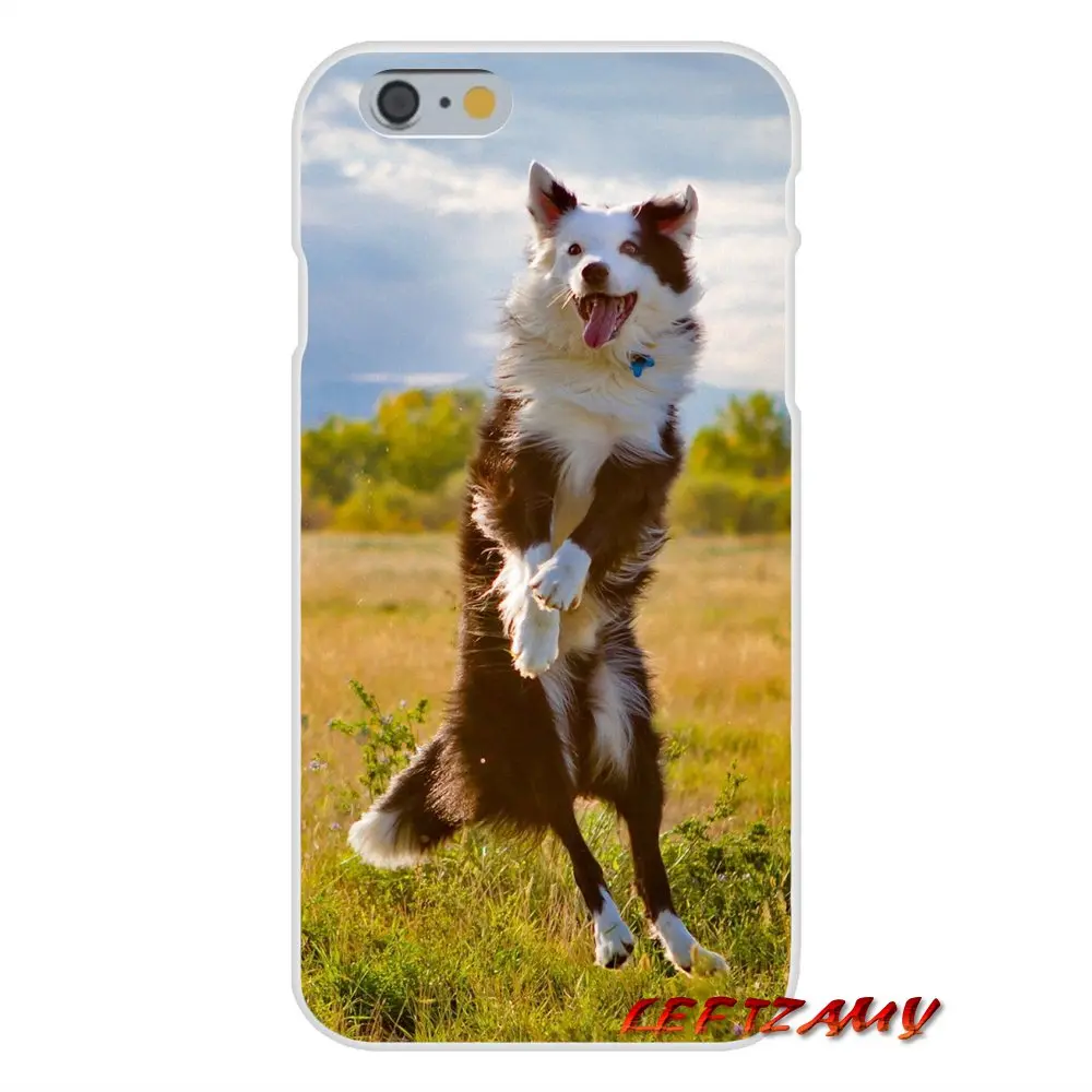 Australian Shepherd Shiba Inu Dog For Samsung Galaxy A5 A6S A7 A8 A9S Star J4 J6 J7 J8 Prime Plus 2018 Transparent TPU Skin Case | Мобильные