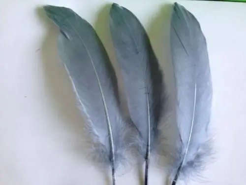 Loose Gray goose feathers (200 Feathers) popularly used for 