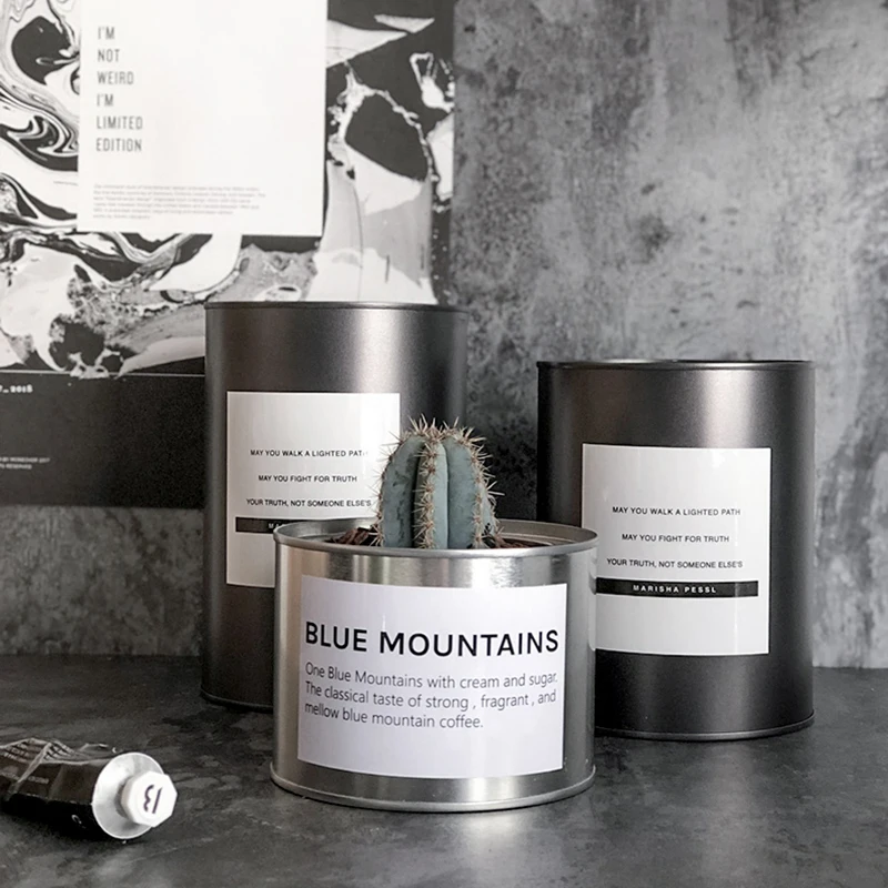 Черный железный нордический резервуар для хранения металлический посадочный