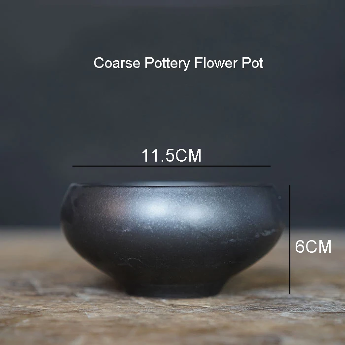 Винтажная серебряная чаша с позолоченным лотосом, японский стиль, цветочный горшок из икебаны, гидропонная ваза, керамические горшки, грубая керамика, цветочный горшок, Декор - Цвет: C