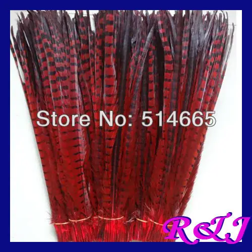 

EMS Free Shipping 100pcs/lot ringneck pheasant Feather pheasant tail feather RED color 20-22 inches 50-55cm